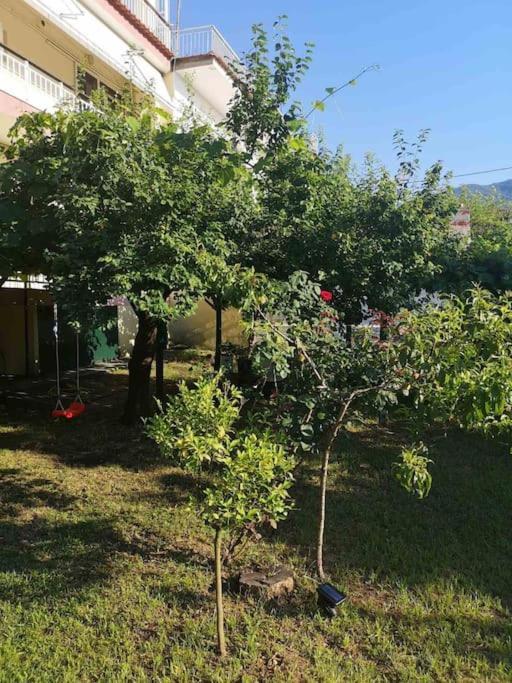Evangelias House! Διαμέρισμα Σταυρός Εξωτερικό φωτογραφία